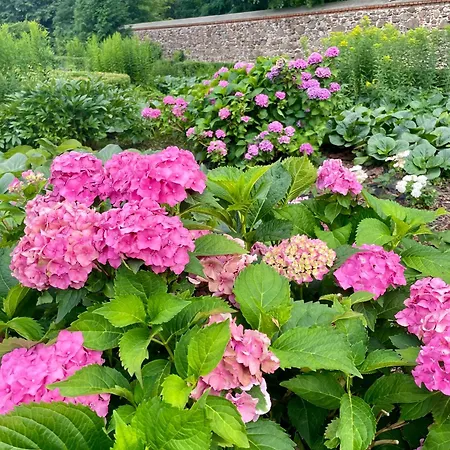 Villa Stara Oranzeria Dwor Huszlew
